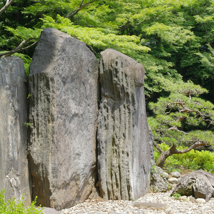 画像360