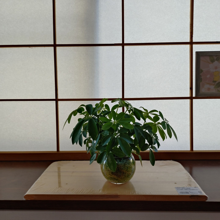 画像408