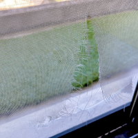画像420