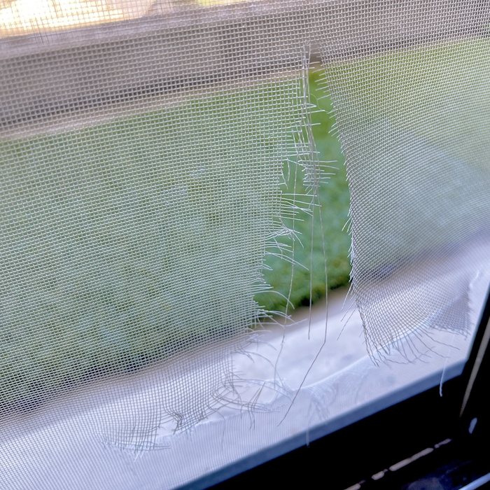 画像420