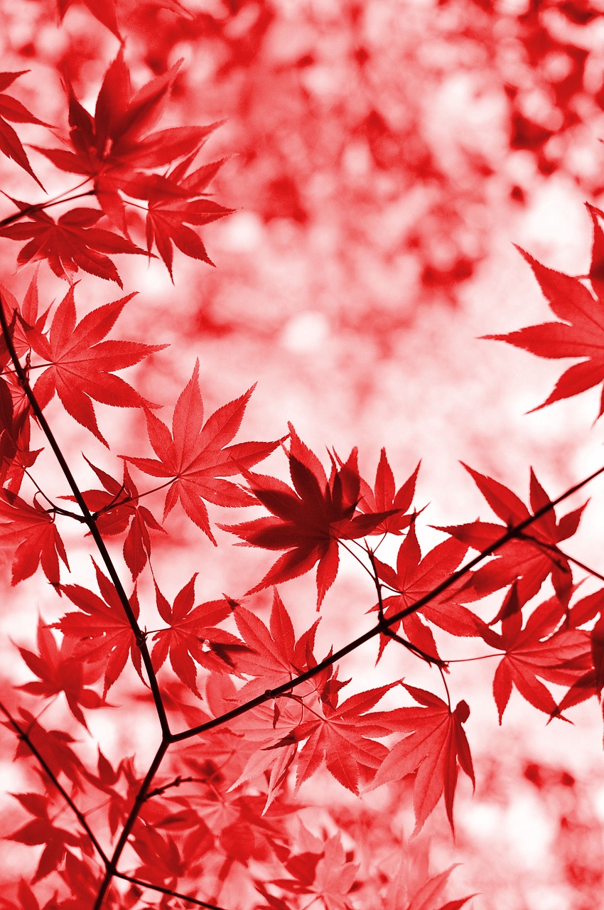 4. 伝統と現代の融合