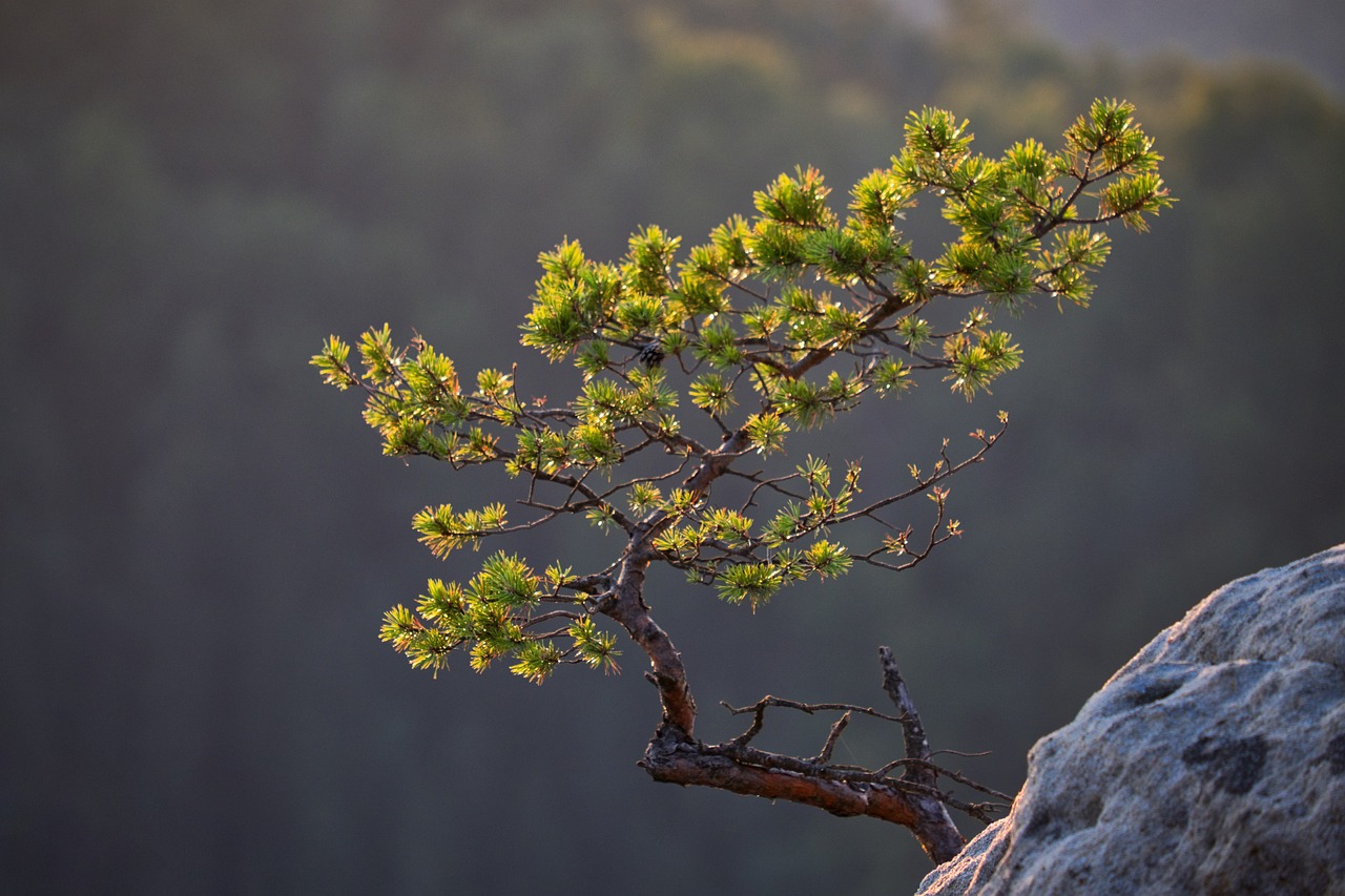 安心の料金プラン