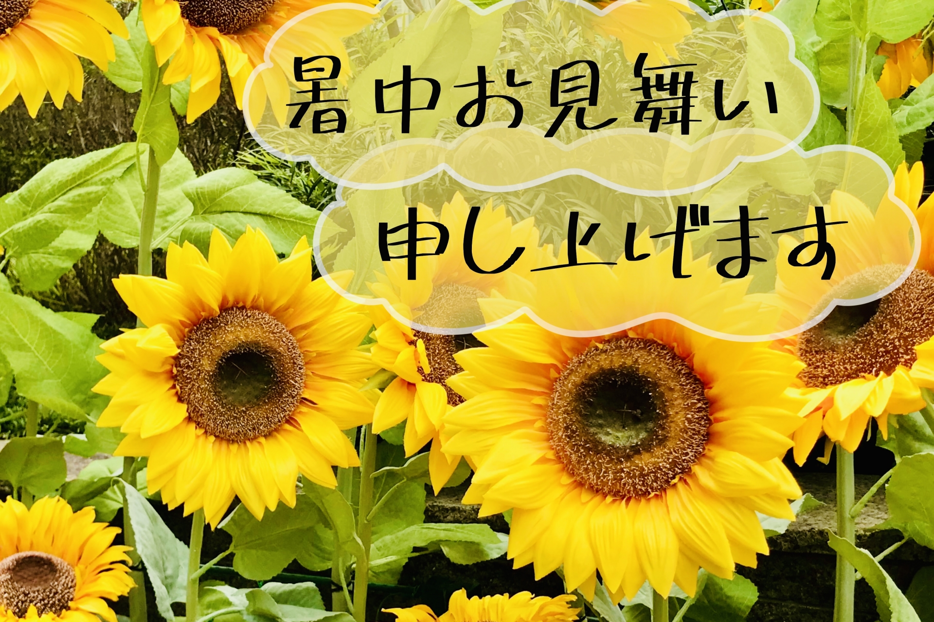 障子の張り替えサービス